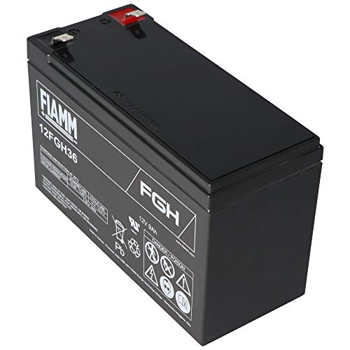 TECNOWARE eacpe12 V9afifgh UPS Battery von Fiamm
