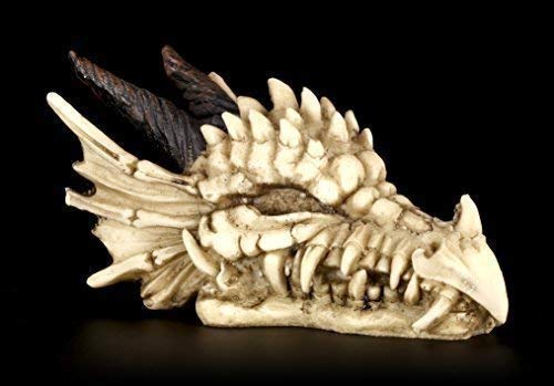 Drachen Totenkopf Figur | Drachenschädel mit Hörnern | Gothic Deko Skelett von Figuren Shop GmbH