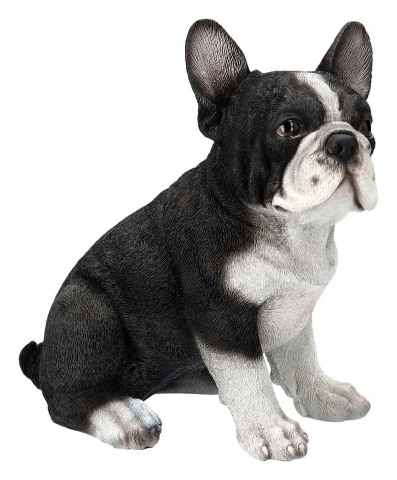 Figuren Shop GmbH Tierfigur Französischer Bulldogge Welpen Figur - Dekofigur Hunde Tierfigur von Figuren Shop GmbH