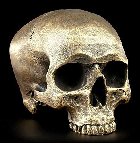Totenkopf ohne Unterkiefer - Antik-goldfarben - Figur Schädel Gothic Totenschädel Deko Skull von Figuren Shop GmbH