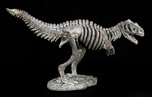 Dinosaurier Figur - Kleines Tyrannosaurus Rex Skelett von Figuren-Shop.de