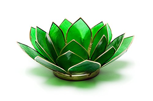 Find Something Different Etwas Finden Verschiedene grün Chakra 4 Capiz Shell Lotus Teelichthalter, Bambus, Mehrfarbig von Find Something Different