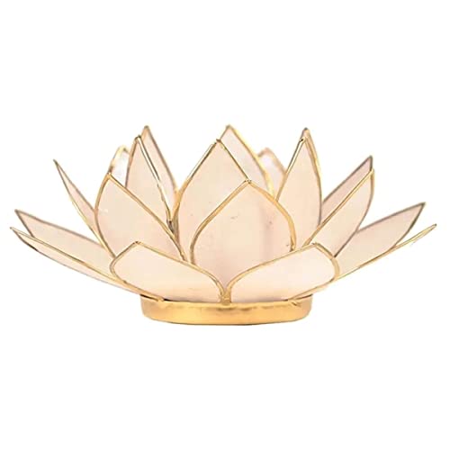 Find Something Different Lotus Teelichthalter Capiz-Muschel – Natur, Bambus, Mehrfarbig, 14 x 14 x 8 cm von Find Something Different