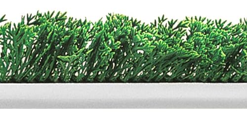 Fischer Bargoin Trennwand Zypresse, grün, Sockel 5,5 x 75 cm, Gesamthöhe 9,5 cm, Teil 82130, Stahl von Fischer Bargoin