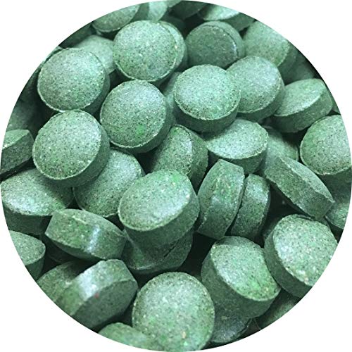 Futtertabletten Linse Tabletten 10mm 20% Spirulina Pflanzliches Fischfutter Wels (1 l) von Fischfuttertreff