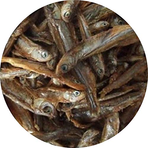 Süßwasserfische Stinte Trockenfisch 3-5 cm Reptilienfutter Hunde- Katzenfutter (10 l) von Fischfuttertreff