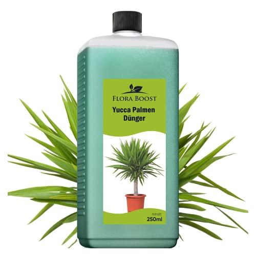Konfitee Yucca Palmen Dünger Flora Boost 250ml I Für bis zu 50L Gießwasser I Zimmerpflanzen Dünger für Palmlilien I Flüssiger Blatt- & Wurzeldünger I 100% natürlicher Pflanzendünger von Flora Boost