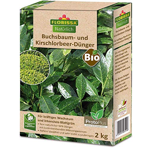 Florissa BIO Kirschlorbeerdünger 2Kg Buchsbaum und immergrüne Pflanzen mit ProtoPlus für ein intensives Grün | haustierfreundlich von Florissa Natürlich