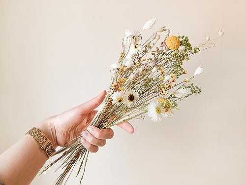 Flowerbar Tauschpaket Sommerwiese | Trockenblumen Paket L (120 cm) von Flowerbar