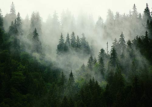 Forwall Fototapete Wald Nebel Natur Bäume Landschaft Skandinavisch Wohnzimmer Schlafzimmer Vlies Tapete Wandtapete UV-Beständig Montagefertig (13026, V8 (368x254 cm) 4 Bahnen) von Fototapete Consalnet