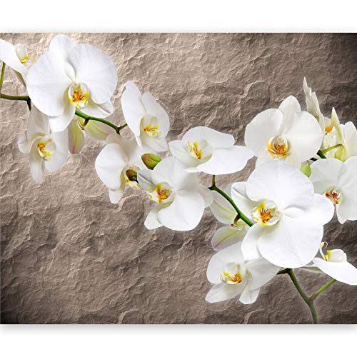 Fototapete murando Orchidee Blumen 300x231 cm Vlies Tapeten Wandtapete XXL Moderne Wanddeko Design Wand Dekoration Wohnzimmer Schlafzimmer Büro Flur Natur Pflanzenmotiv Textur von Fototapete