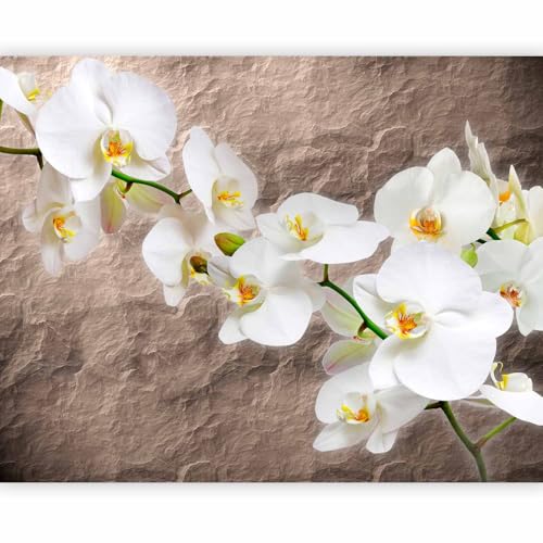 Fototapete murando Orchidee Blumen 350x270 cm Vlies Tapeten Wandtapete XXL Moderne Wanddeko Design Wand Dekoration Wohnzimmer Schlafzimmer Büro Flur Natur Pflanzenmotiv Textur von Fototapete