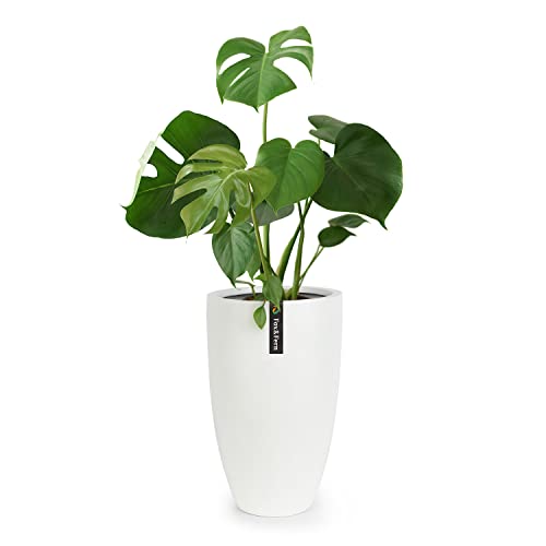 Fox&Fern Übertopf L - extra grosser Blumentopf inkl. Wasserabfluss - Blumentopf hoch 50cm - Übertöpfe für Zimmerpflanzen - Pflanzentopf groß auch für Outdoor geeigent - Plant Pot - Blumentopf weiß von Fox & Fern