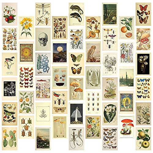 Frsoinor Vintage Aesthetic Wall Collage Kit – 50 Mini Botanical Collage Art Poster (10,2 x 15,2 cm), für trendige Fotowand von Frsoinor