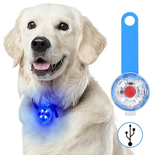Fttouuy Sicherheits LED Blinklicht für Hunde, Katzen - USB Wiederaufladbar LED Licht Leuchtanhänger Hund, 3 Blinkmodis wasserdichte Sicherheit Haustier Lichter (Blau) von Fttouuy