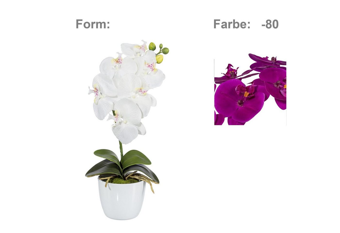 Kunstpflanze Orchidee Phalaenopsis Kunstpflanze 40 cm in lila, Fuchs Versand 24/7 von Fuchs Versand 24/7