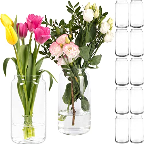 Giessle® 12 große und Elegante Glasvasen (je 20cm) Dekovasen Set Tischvasen Blumenvase, Vase aus Glas von GIESSLE