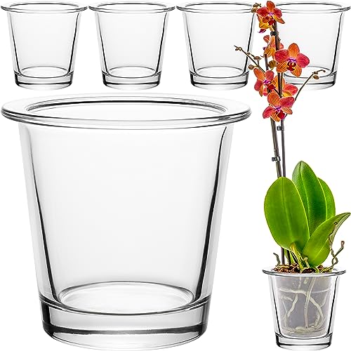 GIESSLE® 6 Stück Orchideentopf [ aus Glas ] Blumentopf Orchideenvase Orchideenglas Übertopf für Orchideen transparent von GIESSLE