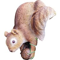 GRANIMEX Teichfigur »Ricko«, Eichhörnchen, Polystone, bunt - braun von GRANIMEX