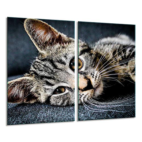 Herdabdeckplatten Ceranfeldabdeckung Spritzschutz Glas 2x30x52 Katze von GSC