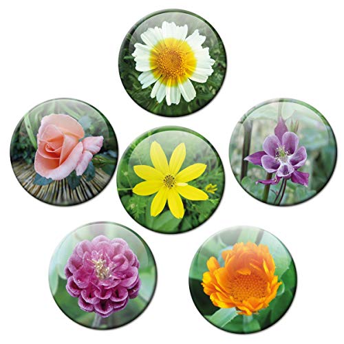 Kühlschrankmagnete Blumen Pracht 6er Deko Geschenk Set Magnete Blüten für Frauen Freundin Blumenliebhaber stark groß 50mm rund Bunt von GUMA Magneticum