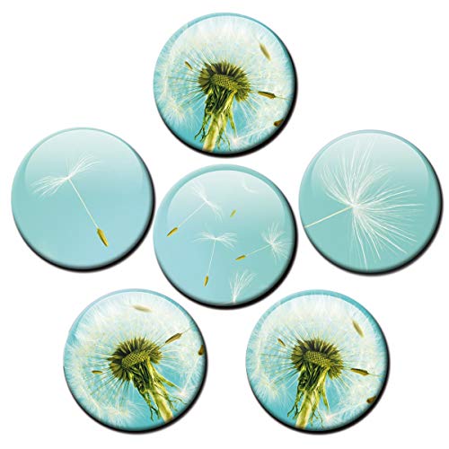 Magnete für Glasmagnettafel Pusteblume extra stark 6er Deko Geschenk Set Blumen lustig für Frauen Blumenfreunde groß 50mm rund Türkis von GUMA Magneticum