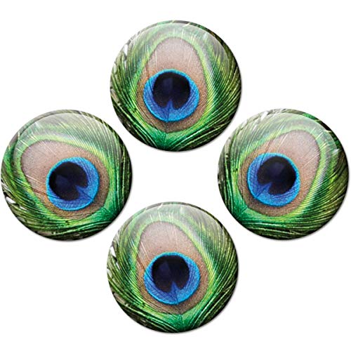Kühlschrankmagnete Pfau 4er Geschenk Set Magnete Pfauen Augen Blau für Magnettafel Kinder stark groß Ø 50 mm von GUMA Magneticum