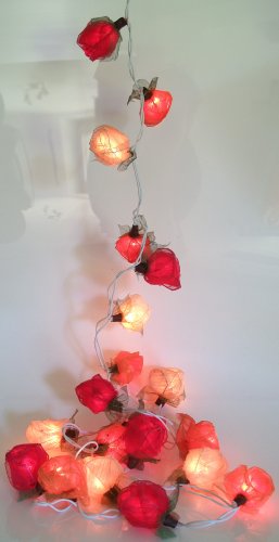 GURU SHOP Blüten LED Lichterkette 20 Stk. - Rose Rot/weiß/orange, Skeletttblätter, 6x6x350 cm, Lichterketten von GURU SHOP