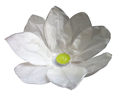 5 weiß Wasserlaterne,Lotus Schwimm BlumeTeelicht von GW Handels UG