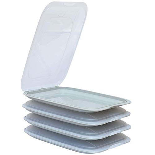 Gariella - Hochwertige stapelbare Aufschnitt-Boxen, Frischhaltedose für Aufschnitt. Wurst Behälter. Perfekte Ordnung im Kühlschrank, 4 Stück Farbe Grau, Maße 25 x 17 x 3.3 cm von Gariella