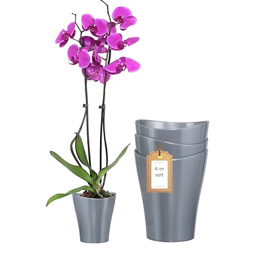 Garten lux Orchideentopf 4er Set 1L-Orchideen Übertopf Anthrazit Transparent Blumentopf Ø13cm-Kunststoff Orchid Pot-Blumentopf für Orchideen von Garten lux