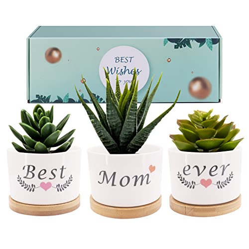 Best Friend Ever Sukkulenten Topf Geschenk, Freundschaft Geschenke für Frauen, einzigartige Geburtstagsgeschenkideen für BFF, Mama, kleine Garten Töpfe (Best Mom Ever) von Gearific