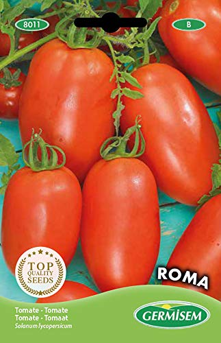 Germisem Tomate ROMA, mehrfarbig, EC8011 von Germisem
