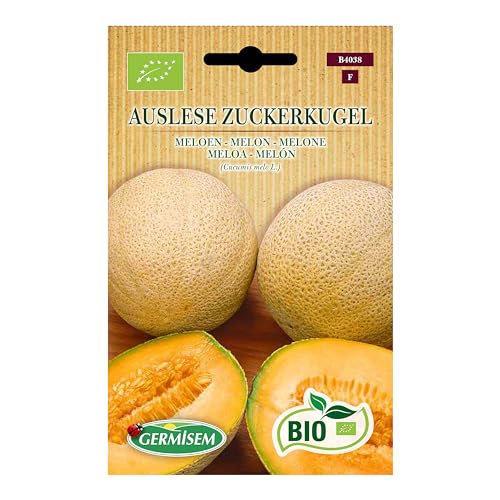 Melone Auslese Zuckerkugel von Germisem