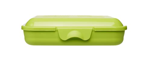 Gies kleine Vorratsbox 15,5 x 4 cm BPA frei recycelbar grün - Made in Germany von Gies