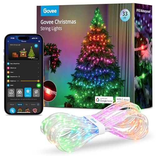 Govee Christmas lights, RGBIC Weihnachtsbeleuchtung Außen 10M, Lichterkette Innen Weihnachten Deko, LED Lichterkette Außen 100 LED-Lichtern, 99+ Szenen, IP65 Wasserdicht, Alexa-Kompatibilität von Govee