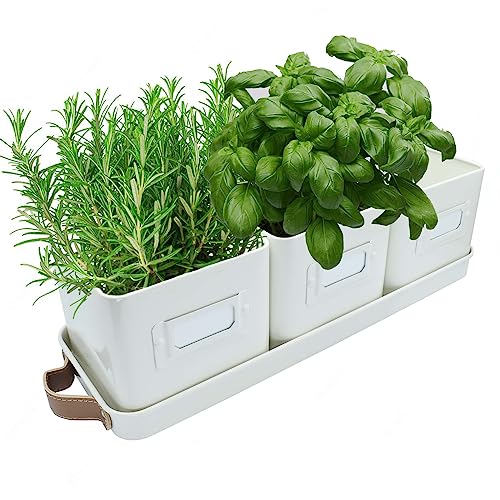 Green Thumbz 3 STK. Kräutertopf - Kräutertöpfe für Deinen Kräutergarten und Fensterbank Innen Dekoration - Basilikum Topf mit Ledergriffen & Untersetzer - Küchenkräuter Topf (Warmer Stein) von Green Thumbz