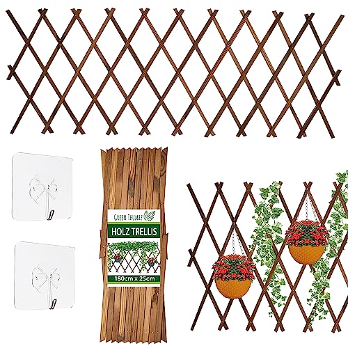 Green Thumbz Rankgitter Holz - (180 x 25cm) Rankhilfe Holz mit Haken - Genietete Gartenlaube für Jede Art von Kletterpflanzen von Green Thumbz