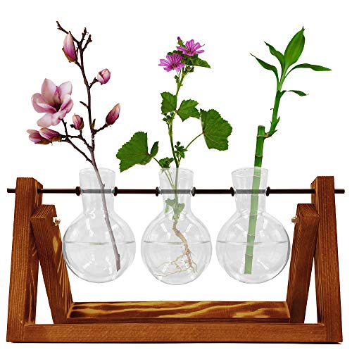 Green Thumbz Propagation Station - Pflanze mit Vaseaus Holz & Glas, Vermehrungsstation Pflanzen mit Holzständer & Metallschaukel, Pflanzen im Glas, Plant Home Leaf Labs (3 x Paflanzen Ableger) von Green Thumbz