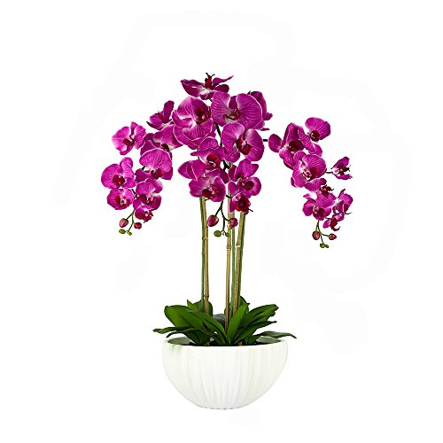Künstliche Orchideen in edlem Keramiktopf in edlem Keramiktopf in Premium-Qualität, Höhe 80 cm, 3 Stiele, 27 Blüten von GreenBrokers