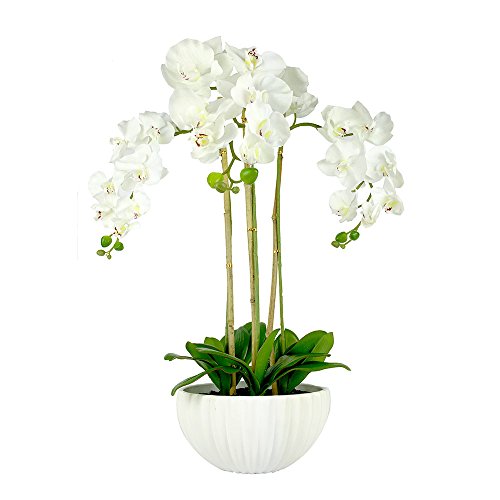 Hochwertige, künstliche Orchideen in aktuellem Keramik-Topf (Höhe: 80 cm, 3 Stiele, 27 Blumen) von GreenBrokers