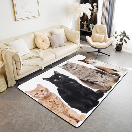 HATEGE Teppich Wohnzimmer 60 x 100 cm Waschbar Süße Katze, Outdoor Teppiche Kurzflor 3D Katze Carpet Flauschig Süße Katze Rug Schlafzimmer DT2165 von HATEGE