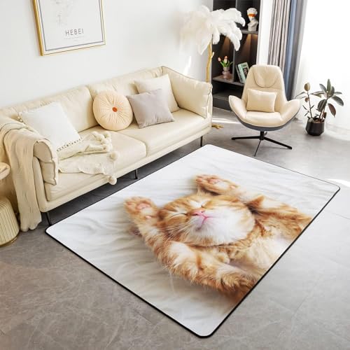 HATEGE Teppich Wohnzimmer 60 x 120 cm Waschbar Süße Katze, Outdoor Teppiche Kurzflor 3D Katze Carpet Flauschig Süße Katze Rug Schlafzimmer DT1004 von HATEGE