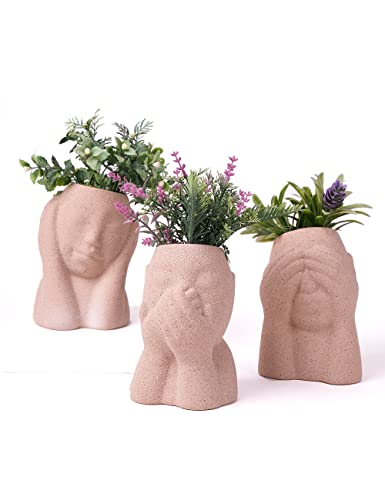 HAUCOZE 3pcs Blumentopf Pflanzen Kopf Arts Skulptur Modern Dekor Geschenk Wohnzimmer Kunst Figuren Polyresin Statue 15cm von HAUCOZE