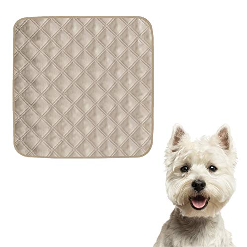 HEELPPO Hundebetten Hundematte Hunde Decken Für Hund Hundedecke Kleine Hunde Kühldecke Hund Hundedecke Outdoor Hundematratze Hunde Decken Katzenbetten Hundebett Klein Katzendecke beige von HEELPPO