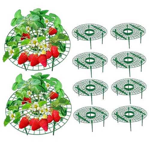 HEKARBAMILL Erdbeerstütze 10 pcs erhöht 10 cm Erdbeeranlagen -Ständer abnehmbarer Tomatenpflanzenhalter Erdbeeranbau Rack Rahmen von HEKARBAMILL