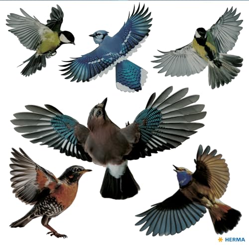 HERMA 15539 Warnvögel Vogel Aufkleber Set für Fensterscheiben groß, 2400 Stück, 30 x 30 cm, selbstklebend, ablösbar und wiederverwendbar, Vogelschutz für Fenster aus wetterfester Hart-Folie, bunt von HERMA
