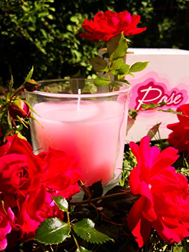 HGD Votiv-Glas ''Rose'' groß, Wachs, Rötlich von HGD