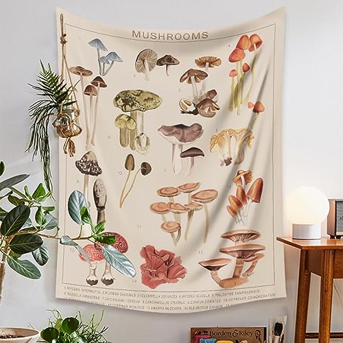 Wandteppich Viele Pilze Wandtuch Aesthetic,Wanddeko Für Schlafzimmer Wohnzimmer Wohnheim,Polyesterfaser Dekorativer Wandbehang,Mehrzweck - Wandtuch（100X150) von HNDXLHH