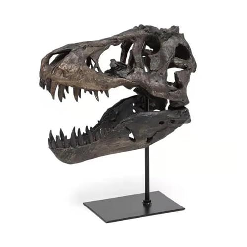 HOUSN Dinosaurier Schädel Skulpturen Tyrannosaurus Rex Resin Head Statue Wohnzimmer Deko Modern Büro Dekoration Wandregal Dekoration,Braun von HOUSN